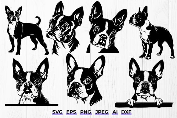 Boston Terrier Dog Breed SVG Bundle – A Designer's Review