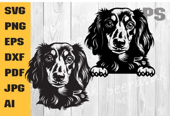 Longhaired Dachshund Svg, Dog Face