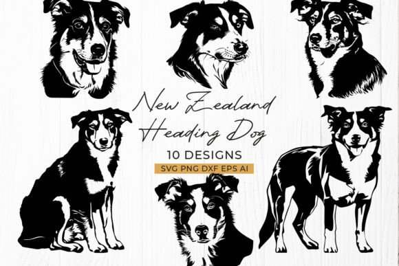 New Zealand Heading Dog Sheepdog SVG: Hands-On Embroidery Review